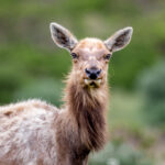 3d开奖113前后号码走势全面分析 1gjrjjarq