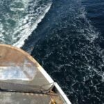 19008期彩票开奖时间及结果查询指南 7rf27a