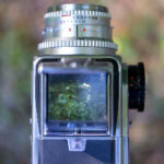 185开奖直播中心官方高清实时开奖现场 9cj73k