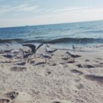 19002期开奖结果震撼揭晓,大奖花落谁家引关注 9heaqykhg