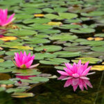 3d开奖046前后关系全面解析与中奖规律探讨 c29660j