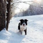 18开奖结果震撼揭晓,幸运号码正式公布 m4qafka