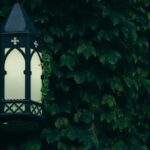 19010期开奖结果公布,大奖花落谁家引关注 pkyw97hfae