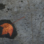 3d开奖143期结果最新公布中奖号码详细解析 vcc0y