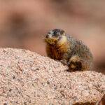 19001期足彩开奖结果揭晓,大奖花落谁家? w3y6m