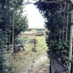 19014期开奖结果最新公布,惊喜大奖花落谁家? we4q6dc