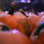 19012期足彩开奖结果公布,奖金数额令人瞩目 y8tl4r7c