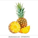 188中国排球比分直播最新赛况实时更新 z9kmede6